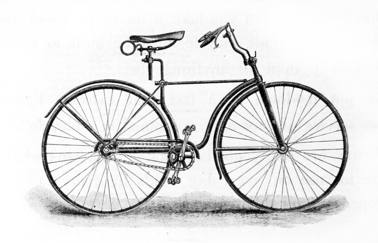 Das Warwick Perfection 1890