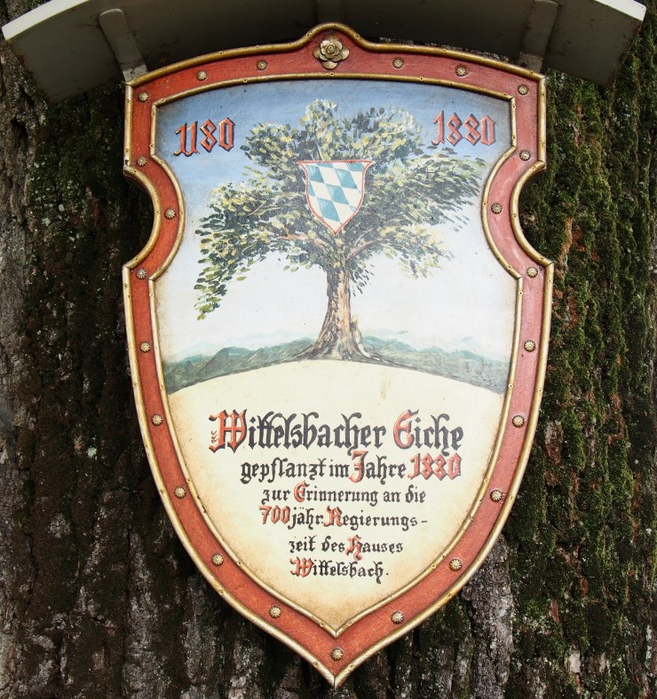 Die Eiche war, als Thomas Stevens hier vorbeikam, gerade einmal 5 Jahre alt.